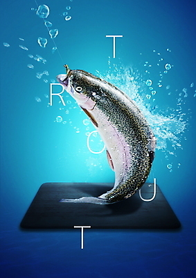 PSD 편집이미지 한마리 영어 사람없음 파란색 물방울 튀는물 송어 이미지편집 문자 1 컬러 어류 액체표현 스플래쉬 파일형식