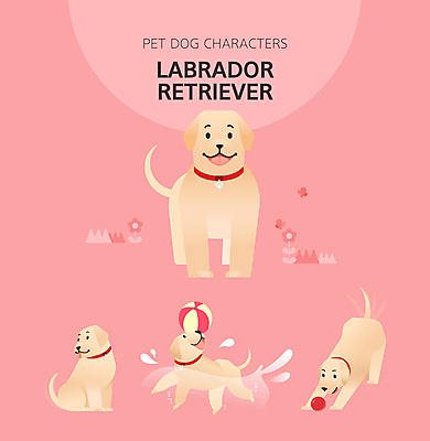 캐릭터 반려견 분홍색 여러마리 일러스트 공 앉기 사람없음 수영 개 강아지 래브라도리트리버 공놀이 목줄 일러캐릭터 AI파일 컬러 다수 포유류 모션 놀이 반려동물 수상스포츠 리트리버 파일형식 벡터 반려용품