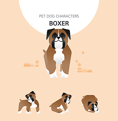 캐릭터 반려견 엎드리기 여러마리 일러스트 서기 사람없음 눕기 주황색 개 강아지 일러캐릭터 AI파일 복서견 컬러 다수 포유류 모션 반려동물 파일형식 벡터