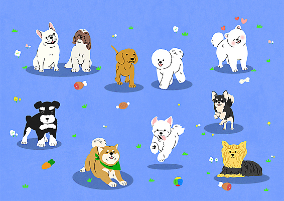 스티커 여러마리 일러스트 서기 앉기 사람없음 달리기 귀여움 말티즈 개 시츄 슈나우저 닥스훈트 요크셔테리어 미니어처슈나우져 치와와 애교 포메라니안 프렌치불독 시바견 비숑프리제 국내일러스트 AI파일 다수 컨셉 포유류 모션 테리어 불독 파일형식 벡터