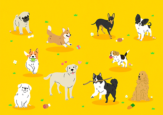 스티커 여러마리 일러스트 공 앉기 사람없음 달리기 귀여움 점프 코커스패니얼 나뭇가지 리트리버 강아지 물기 테리어 래브라도리트리버 페키니즈 비글 보더콜리 미니어처핀셔 잭러셀테리어 웰시코기 파피용 퍼그 국내일러스트 AI파일 나무 다수 컨셉 모션 반려동물 스패니얼 개 콜리 파일형식 벡터 핀셔
