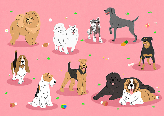 스티커 여러마리 일러스트 서기 앉기 사람없음 눕기 걷기 귀여움 개 테리어 바셋하운드 사모예드 차우차우 와이어폭스테리어 로트와일러 뉴펀들랜드 에어데일테리어 차이니즈크레스티드 국내일러스트 AI파일 다수 컨셉 포유류 모션 하운드 폭스테리어 파일형식 벡터