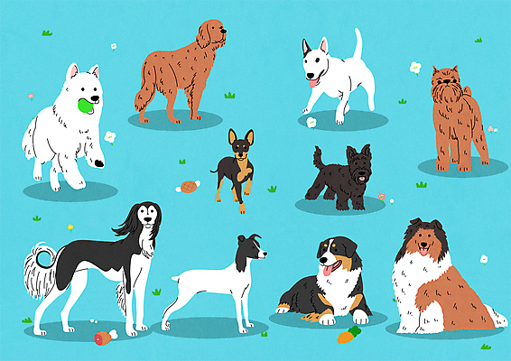 스티커 여러마리 일러스트 공 서기 앉기 사람없음 달리기 귀여움 개 물기 테리어 불테리어 콜리 셰퍼드 스코티시테리어 아이리쉬세터 살루키 맨체스터테리어 스위스셰퍼드 국내일러스트 AI파일 다수 컨셉 포유류 모션 파일형식 벡터