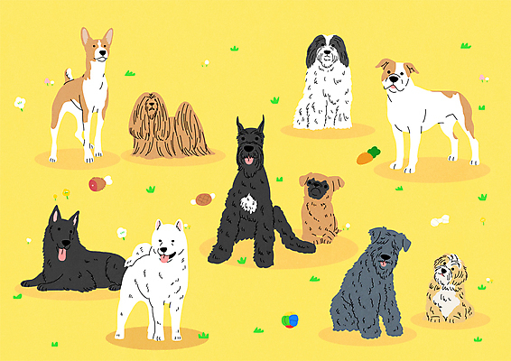 스티커 여러마리 일러스트 서기 앉기 사람없음 눕기 귀여움 개 슈나우저 테리어 사냥개 셰퍼드 하바니즈 라사압소 바센지 국내일러스트 AI파일 다수 컨셉 포유류 모션 파일형식 벡터