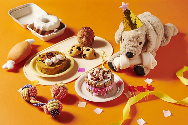 포토 JPG 스튜디오촬영 사람없음 장난감 쿠키 케이크 생일 도넛 먹이 오브젝트 파티용품 강아지인형 개껌 애견간식 핸드메이드 영양_영양소 펫푸드 국내포토 기념일 인형 디저트 실내 파티 이벤트용품 애견용품 영양소 파일형식