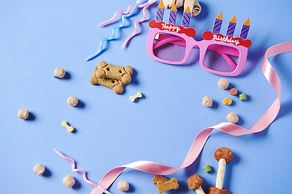 포토 JPG 스튜디오촬영 리본 백그라운드 사람없음 파란색 선글라스 생일 먹이 오브젝트 애견간식 영양_영양소 펫푸드 국내포토 기념일 안경 컬러 실내 애견용품 영양소 파일형식