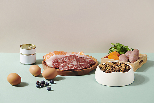 포토 JPG 스튜디오촬영 채소 식재료 육류 사람없음 계란 오브젝트 통조림 개사료 애견간식 영양_영양소 펫푸드 국내포토 실내 알 먹이 애견용품 영양소 파일형식