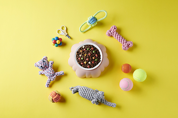 포토 JPG 스튜디오촬영 사람없음 하이앵글 장난감 먹이 오브젝트 애견용품 개사료 펫푸드 국내포토 반려용품 뷰포인트 실내 파일형식