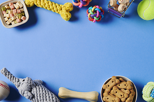 포토 JPG 스튜디오촬영 백그라운드 프레임 사람없음 파란색 장난감 먹이 오브젝트 애견용품 애견간식 카피스페이스 펫푸드 국내포토 반려용품 컬러 실내 공백 파일형식