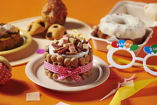 포토 JPG 스튜디오촬영 사람없음 아웃포커스 선글라스 케이크 생일 먹이 오브젝트 파티용품 애견간식 영양_영양소 펫푸드 국내포토 기념일 안경 디저트 촬영기법 실내 파티 이벤트용품 애견용품 영양소 파일형식