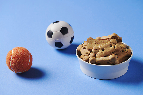 포토 JPG 스튜디오촬영 공 사람없음 먹이 오브젝트 애견간식 펫푸드 국내포토 실내 애견용품 파일형식