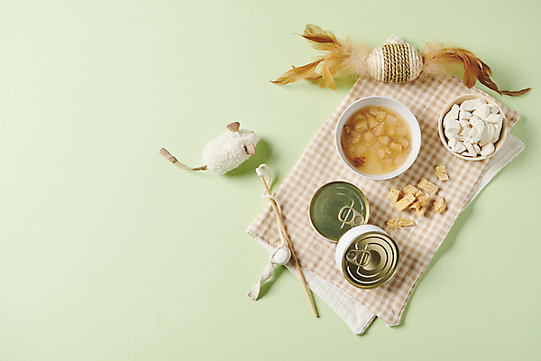 포토 JPG 스튜디오촬영 사람없음 하이앵글 장난감 오브젝트 통조림 펫푸드 애묘용품 애묘간식 고양이먹이 국내포토 반려용품 뷰포인트 실내 먹이 애견용품 파일형식