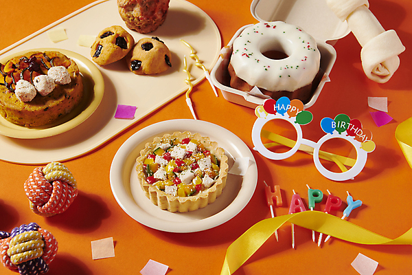 포토 JPG 스튜디오촬영 사람없음 케이크 생일 도넛 먹이 오브젝트 파티용품 파이 애견간식 펫푸드 국내포토 기념일 빵 디저트 실내 파티 이벤트용품 애견용품 파일형식