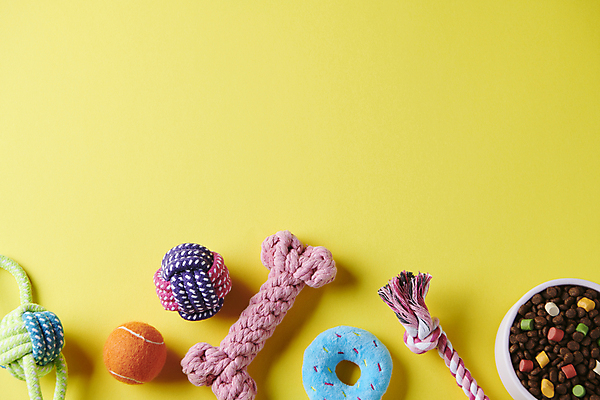 포토 JPG 스튜디오촬영 백그라운드 사람없음 장난감 노란색 먹이 오브젝트 애견용품 개사료 카피스페이스 펫푸드 국내포토 반려용품 컬러 실내 공백 파일형식