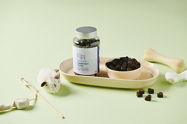 포토 JPG 스튜디오촬영 사람없음 먹이 오브젝트 개뼈다귀 영양제 영양_영양소 펫푸드 고양이낚시대 국내포토 실내 약 애견용품 애견간식 영양소 파일형식 애묘용품