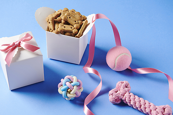 포토 JPG 스튜디오촬영 선물 사람없음 상자 장난감 쿠키 먹이 오브젝트 애견간식 영양_영양소 펫푸드 국내포토 디저트 실내 애견용품 영양소 파일형식