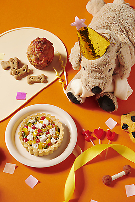 포토 JPG 스튜디오촬영 사람없음 케이크 생일 먹이 오브젝트 파티용품 파이 강아지인형 애견간식 핸드메이드 영양_영양소 펫푸드 국내포토 기념일 빵 인형 디저트 실내 파티 이벤트용품 애견용품 영양소 파일형식