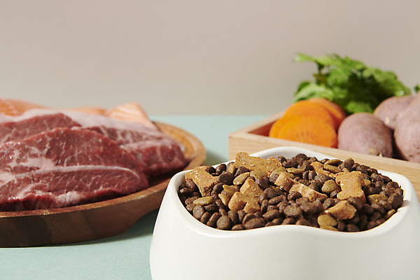 포토 JPG 스튜디오촬영 식재료 근접촬영 사람없음 아웃포커스 먹이 오브젝트 개사료 애견간식 영양_영양소 펫푸드 국내포토 뷰포인트 촬영기법 실내 애견용품 영양소 파일형식