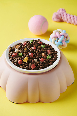 포토 JPG 스튜디오촬영 근접촬영 사람없음 장난감 먹이 오브젝트 애견용품 개사료 애견간식 펫푸드 국내포토 반려용품 뷰포인트 실내 파일형식