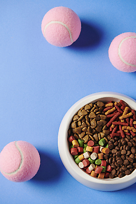 포토 JPG 스튜디오촬영 백그라운드 공 사람없음 다양 먹이 오브젝트 개사료 애견간식 영양_영양소 펫푸드 국내포토 다수 실내 애견용품 영양소 파일형식
