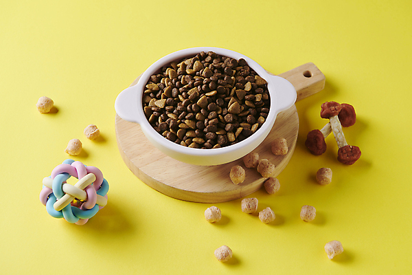 포토 JPG 스튜디오촬영 사람없음 장난감 먹이 오브젝트 개사료 애견간식 영양_영양소 펫푸드 국내포토 실내 애견용품 영양소 파일형식