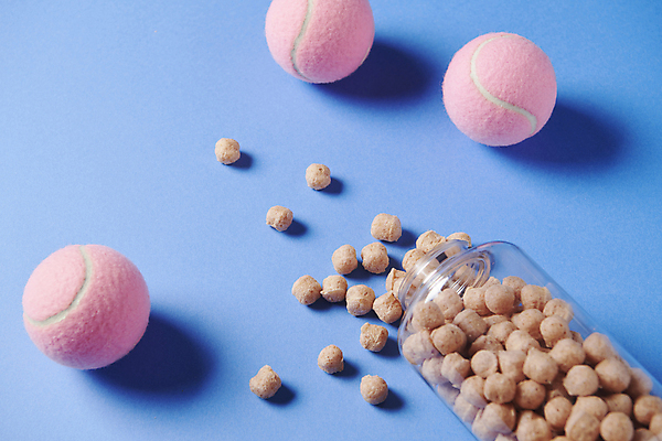 포토 JPG 스튜디오촬영 공 사람없음 먹이 오브젝트 쏟아짐 애견간식 영양_영양소 펫푸드 국내포토 모션 실내 애견용품 영양소 파일형식