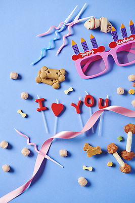 포토 JPG 스튜디오촬영 리본 초 사람없음 하이앵글 선글라스 파티 생일 먹이 오브젝트 개껌 펫푸드 국내포토 기념일 안경 뷰포인트 실내 이벤트 애견용품 파일형식