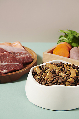 포토 JPG 스튜디오촬영 채소 육류 근접촬영 사람없음 먹이 오브젝트 유기농 개사료 영양_영양소 펫푸드 국내포토 웰빙 뷰포인트 식재료 실내 애견용품 영양소 파일형식