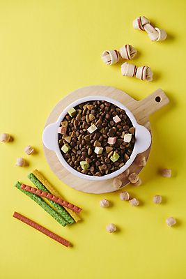 포토 JPG 스튜디오촬영 사람없음 하이앵글 먹이 오브젝트 개껌 개사료 애견간식 영양_영양소 펫푸드 국내포토 뷰포인트 실내 애견용품 영양소 파일형식