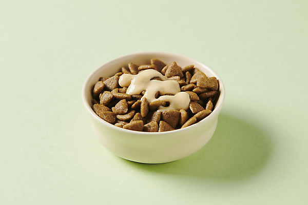 포토 JPG 스튜디오촬영 사람없음 먹이 오브젝트 영양_영양소 펫푸드 고양이먹이 국내포토 실내 애견용품 영양소 파일형식