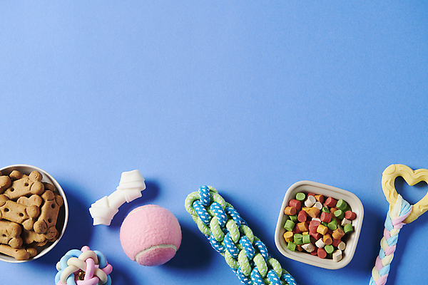 포토 JPG 스튜디오촬영 백그라운드 사람없음 장난감 먹이 오브젝트 애견용품 애견간식 카피스페이스 펫푸드 국내포토 반려용품 실내 공백 파일형식