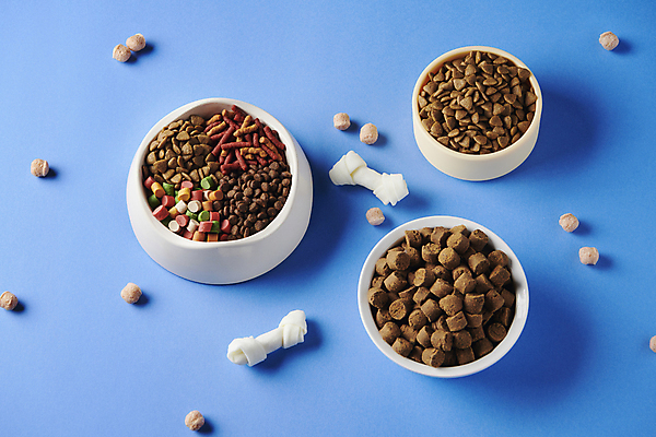 포토 JPG 스튜디오촬영 사람없음 다양 먹이 오브젝트 개껌 개사료 애견간식 영양_영양소 펫푸드 국내포토 다수 실내 애견용품 영양소 파일형식