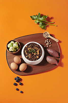 포토 JPG 스튜디오촬영 식재료 사람없음 먹이 오브젝트 개사료 애견간식 영양_영양소 펫푸드 국내포토 실내 애견용품 영양소 파일형식