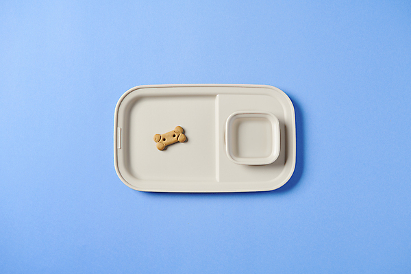 포토 JPG 스튜디오촬영 다이어트 사람없음 먹이 오브젝트 식판 애견간식 영양_영양소 펫푸드 국내포토 실내 건강 애견용품 영양소 파일형식