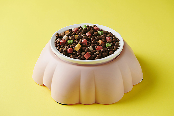 포토 JPG 스튜디오촬영 근접촬영 사람없음 먹이 오브젝트 개사료 애견간식 영양_영양소 펫푸드 국내포토 뷰포인트 실내 애견용품 영양소 파일형식