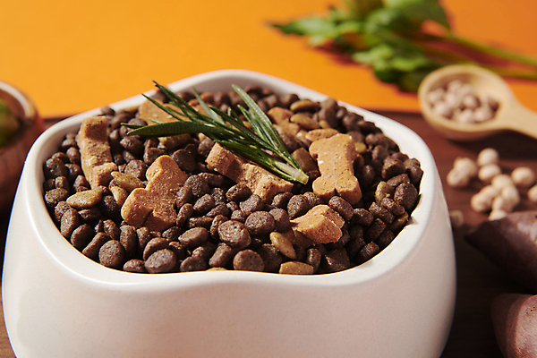 포토 JPG 스튜디오촬영 근접촬영 사람없음 아웃포커스 먹이 오브젝트 개사료 애견간식 영양_영양소 펫푸드 국내포토 뷰포인트 촬영기법 실내 애견용품 영양소 파일형식