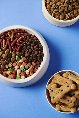 포토 JPG 스튜디오촬영 사람없음 다양 먹이 오브젝트 개사료 애견간식 영양_영양소 펫푸드 국내포토 다수 실내 애견용품 영양소 파일형식