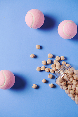 포토 JPG 스튜디오촬영 공 사람없음 먹이 오브젝트 쏟아짐 애견간식 영양_영양소 펫푸드 국내포토 모션 실내 애견용품 영양소 파일형식