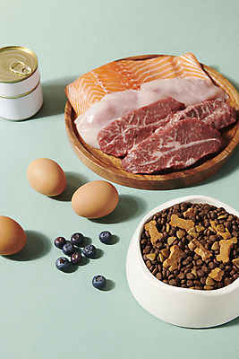 포토 JPG 스튜디오촬영 식재료 육류 사람없음 먹이 오브젝트 개사료 애견간식 영양_영양소 펫푸드 국내포토 실내 애견용품 영양소 파일형식