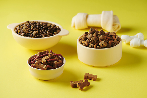 포토 JPG 스튜디오촬영 사람없음 장난감 노란색 먹이 오브젝트 개사료 애견간식 펫푸드 국내포토 컬러 실내 애견용품 파일형식