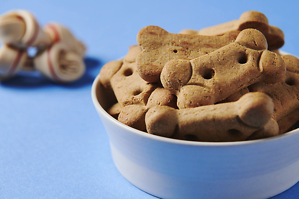 포토 JPG 스튜디오촬영 근접촬영 사람없음 아웃포커스 먹이 오브젝트 애견간식 영양_영양소 펫푸드 국내포토 뷰포인트 촬영기법 실내 애견용품 영양소 파일형식