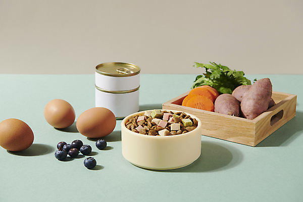 포토 JPG 스튜디오촬영 채소 식재료 사람없음 먹이 오브젝트 통조림 애견간식 영양_영양소 펫푸드 국내포토 실내 애견용품 영양소 파일형식