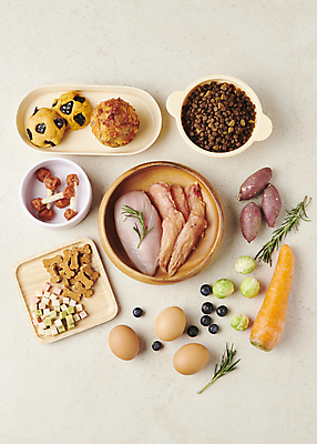 포토 JPG 스튜디오촬영 채소 식재료 건강 사람없음 하이앵글 먹이 오브젝트 날것 개사료 닭가슴살 애견간식 영양_영양소 펫푸드 국내포토 뷰포인트 실내 닭고기 애견용품 영양소 파일형식