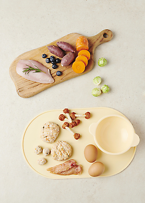 포토 JPG 스튜디오촬영 채소 식재료 육류 사람없음 하이앵글 먹이 오브젝트 애견간식 영양_영양소 펫푸드 국내포토 뷰포인트 실내 애견용품 영양소 파일형식