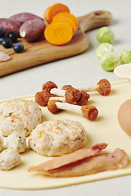 포토 JPG 스튜디오촬영 식재료 사람없음 아웃포커스 먹이 오브젝트 애견간식 영양_영양소 펫푸드 국내포토 촬영기법 실내 애견용품 영양소 파일형식