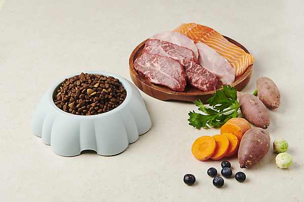 포토 JPG 스튜디오촬영 채소 식재료 육류 사람없음 먹이 오브젝트 개사료 영양_영양소 펫푸드 국내포토 실내 애견용품 영양소 파일형식