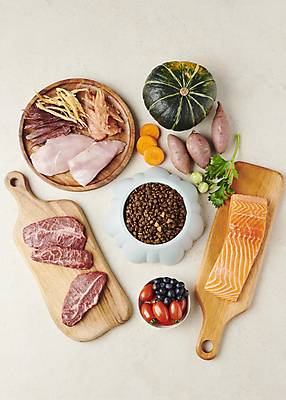 포토 JPG 스튜디오촬영 채소 식재료 육류 사람없음 하이앵글 먹이 오브젝트 개사료 영양_영양소 펫푸드 국내포토 뷰포인트 실내 애견용품 영양소 파일형식