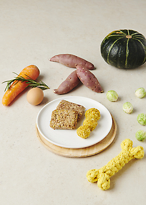 포토 JPG 스튜디오촬영 채소 식재료 사람없음 먹이 오브젝트 애견간식 영양_영양소 펫푸드 국내포토 실내 애견용품 영양소 파일형식