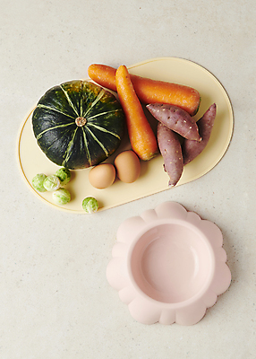 포토 JPG 스튜디오촬영 채소 식재료 사람없음 오브젝트 개밥그릇 애견간식 영양_영양소 펫푸드 국내포토 그릇 실내 애견용품 영양소 파일형식