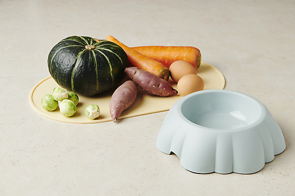 포토 JPG 스튜디오촬영 채소 식재료 사람없음 오브젝트 개밥그릇 애견간식 영양_영양소 펫푸드 국내포토 그릇 실내 애견용품 영양소 파일형식